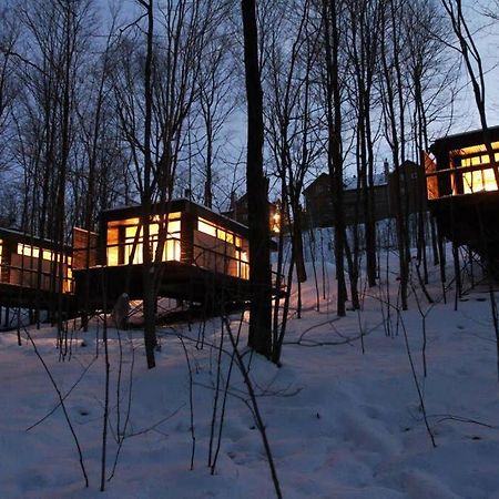 Cabin Sutton 252 - En Harmonie Avec La Nature! Villa Eksteriør billede